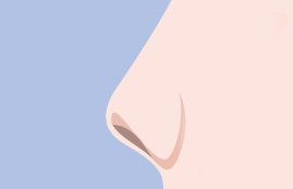 들창코(짧은코) — 코 옆모습 선 일러스트