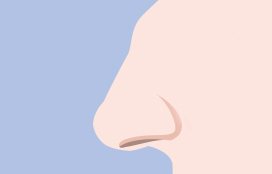 매부리코 — 코 옆모습 선 일러스트