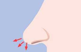 화살코(처진 코끝) — 코 옆모습 선 일러스트, 처진 코끝 빨간 화살표