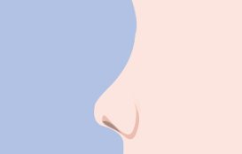 낮은코 — 코 옆모습 선 일러스트